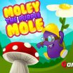 Purple Mole Teaser Moley the Purple Mole has to rescue the cute princess and your task in this cute platform puzzle is to help him - image - Gameiino.com