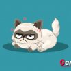 What Famous Cat Are You Teaser Grumpy Cat and other famous cats have got together in this personality game to look for soulmates - image - Gameiino.com